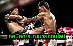 ดูมวยสด